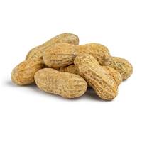 بادام زمینی